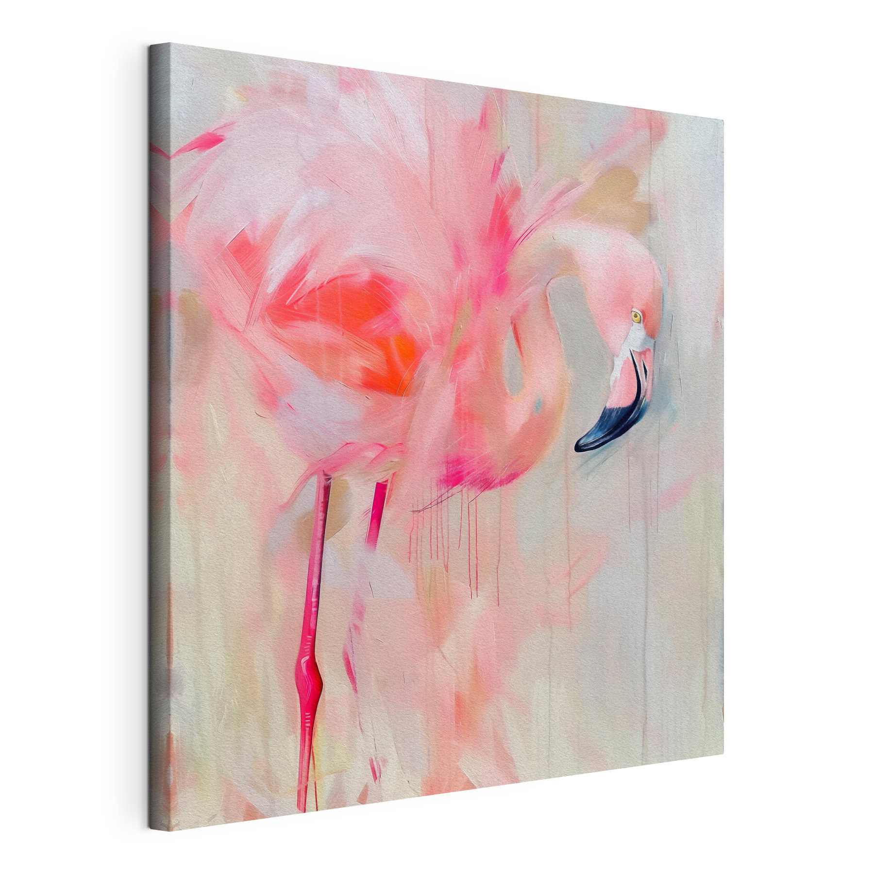 Pink flamingo with long legs Pink flamingo with long legs