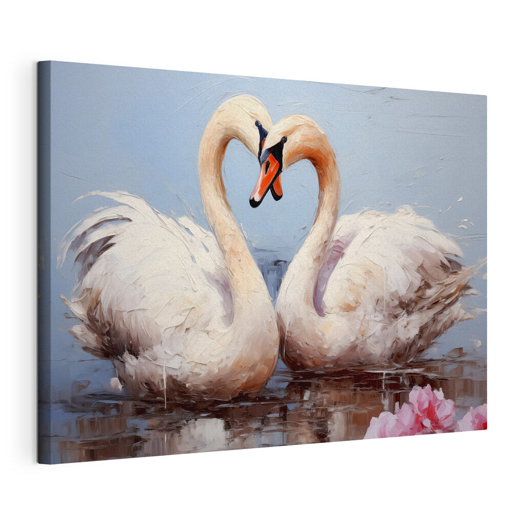 Two swans in the water Two swans in the water