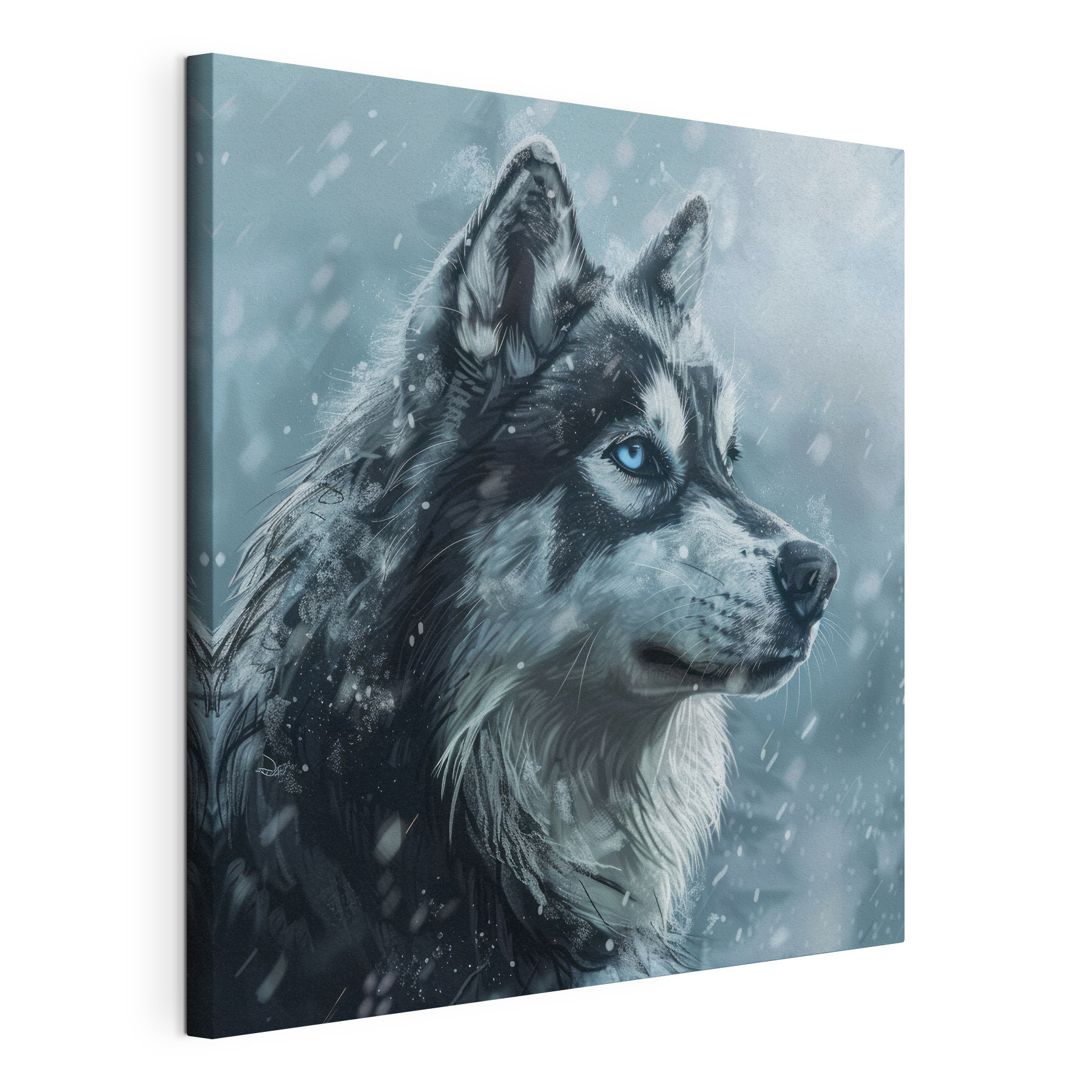 Dog in the snow