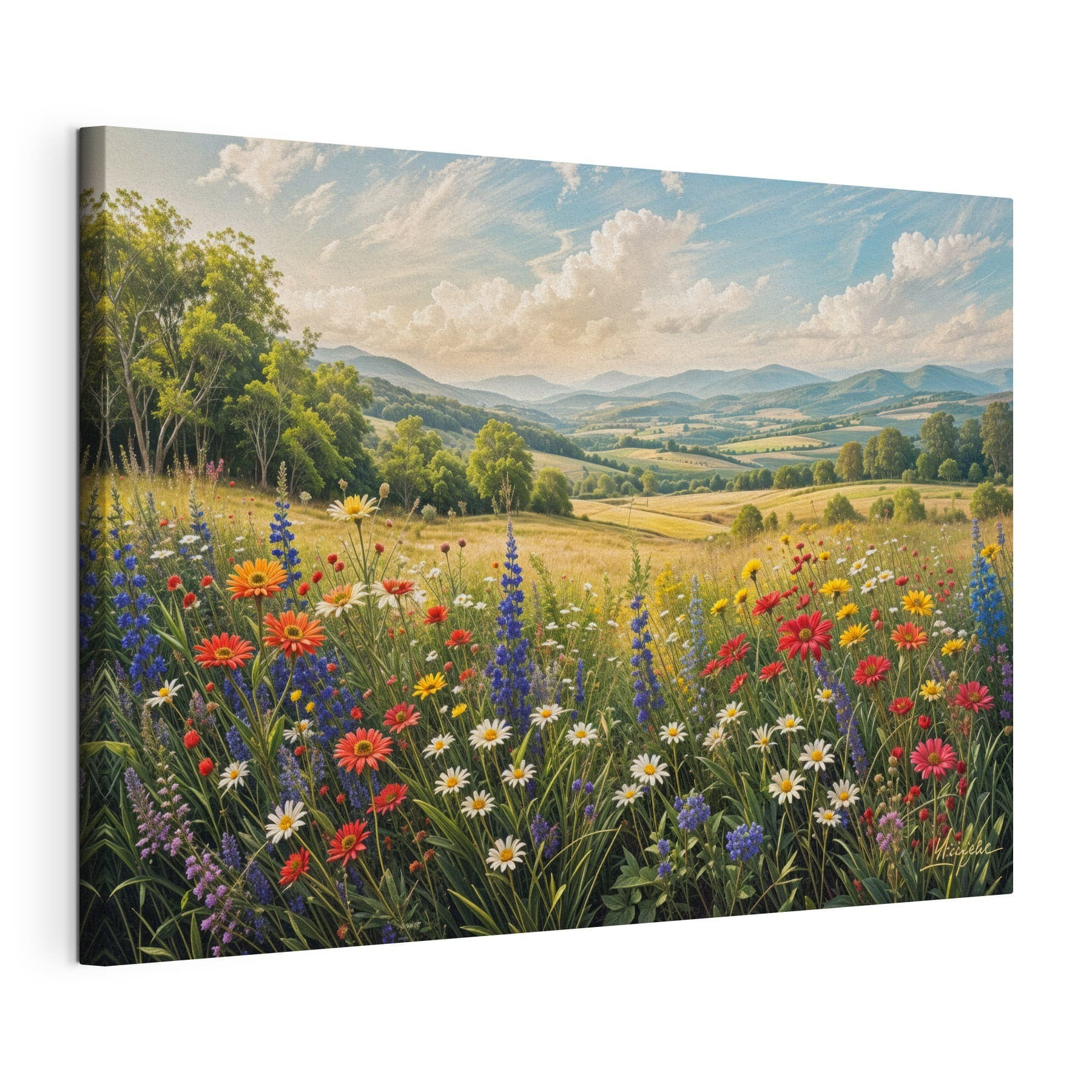 Field of flowers with mountains in the background Field of flowers with mountains in the background