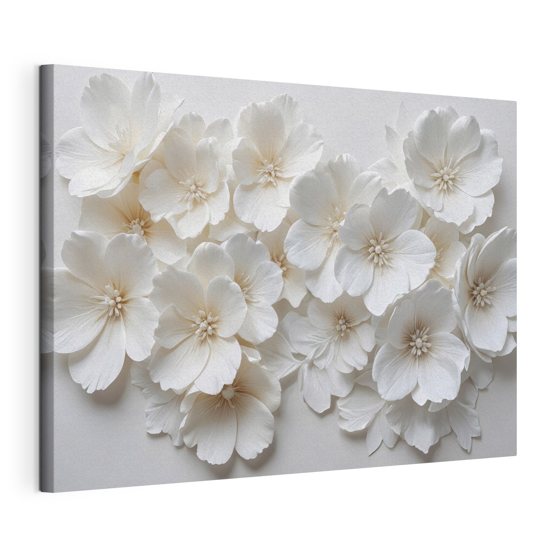 Group of white flowers