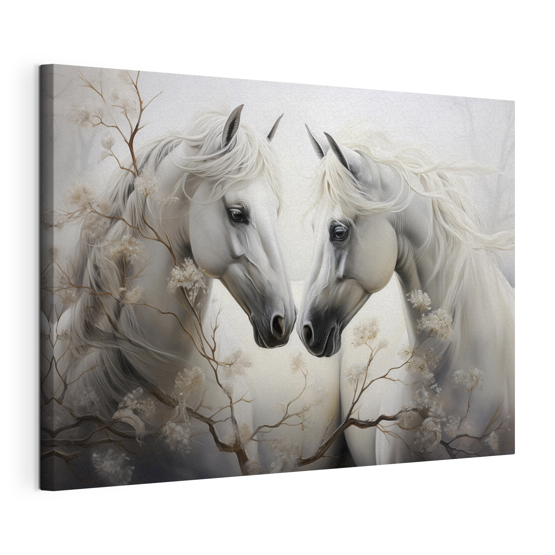 Two white horses with long manes