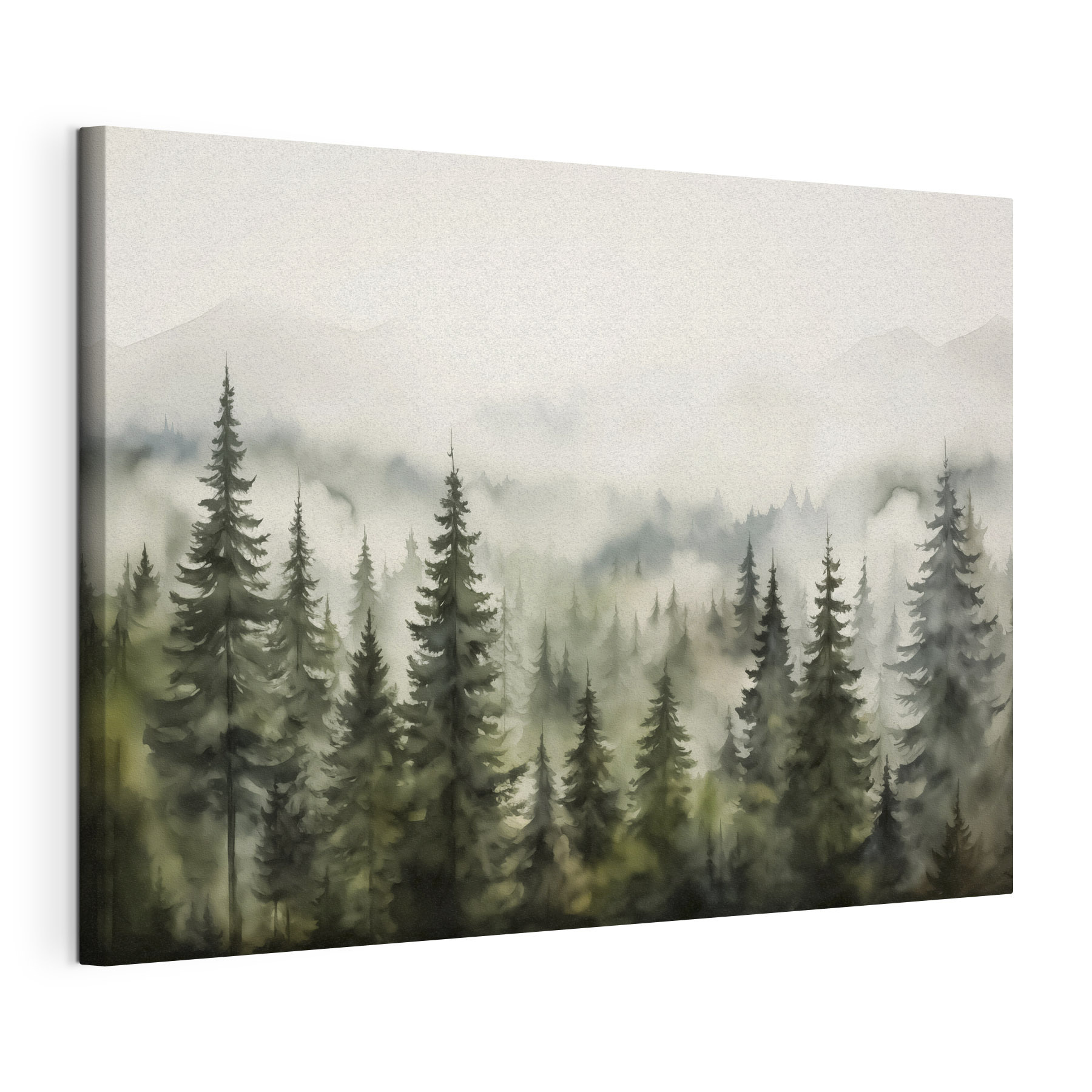 Foggy forest with trees