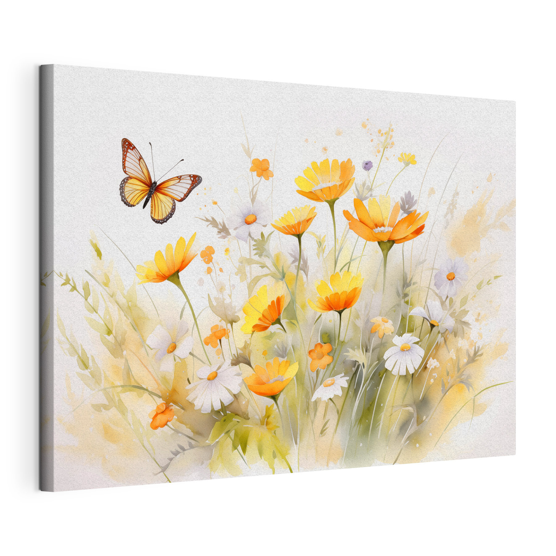 Butterfly flying over a yellow and white flowers Butterfly flying over a yellow and white flowers