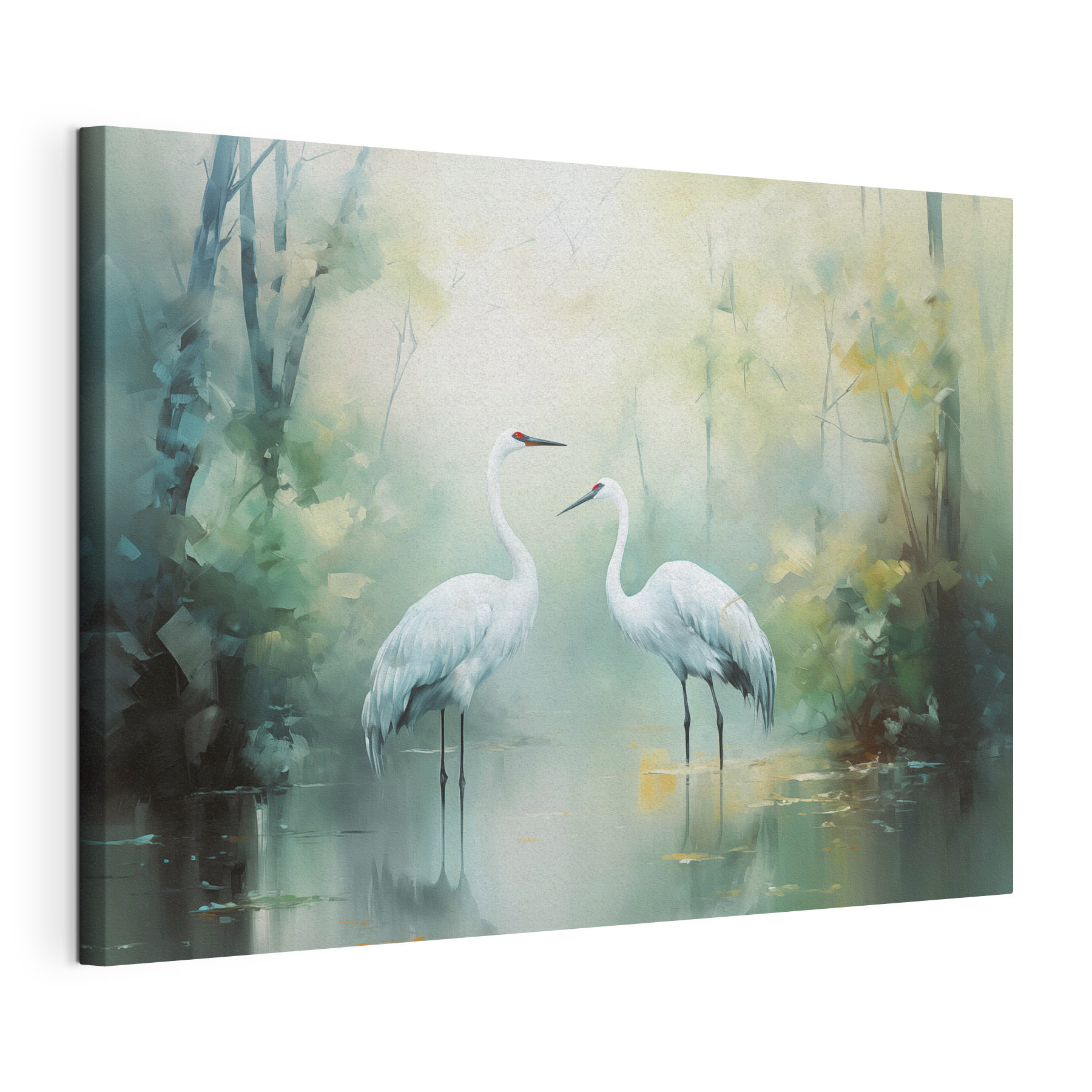 Couple of white birds in a pond Couple of white birds in a pond
