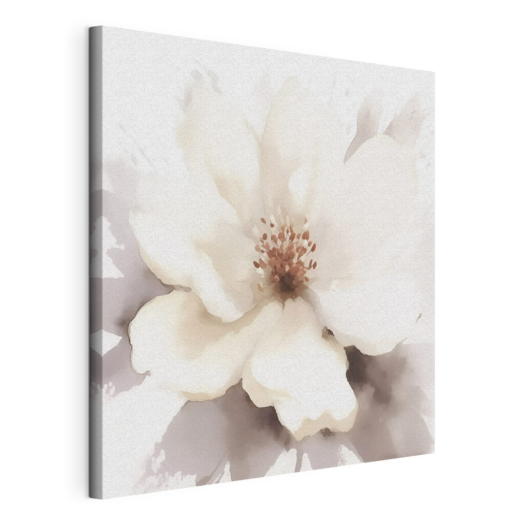 White flower with brown center White flower with brown center