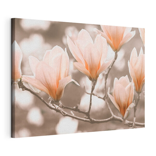 A group of flowers on a branch