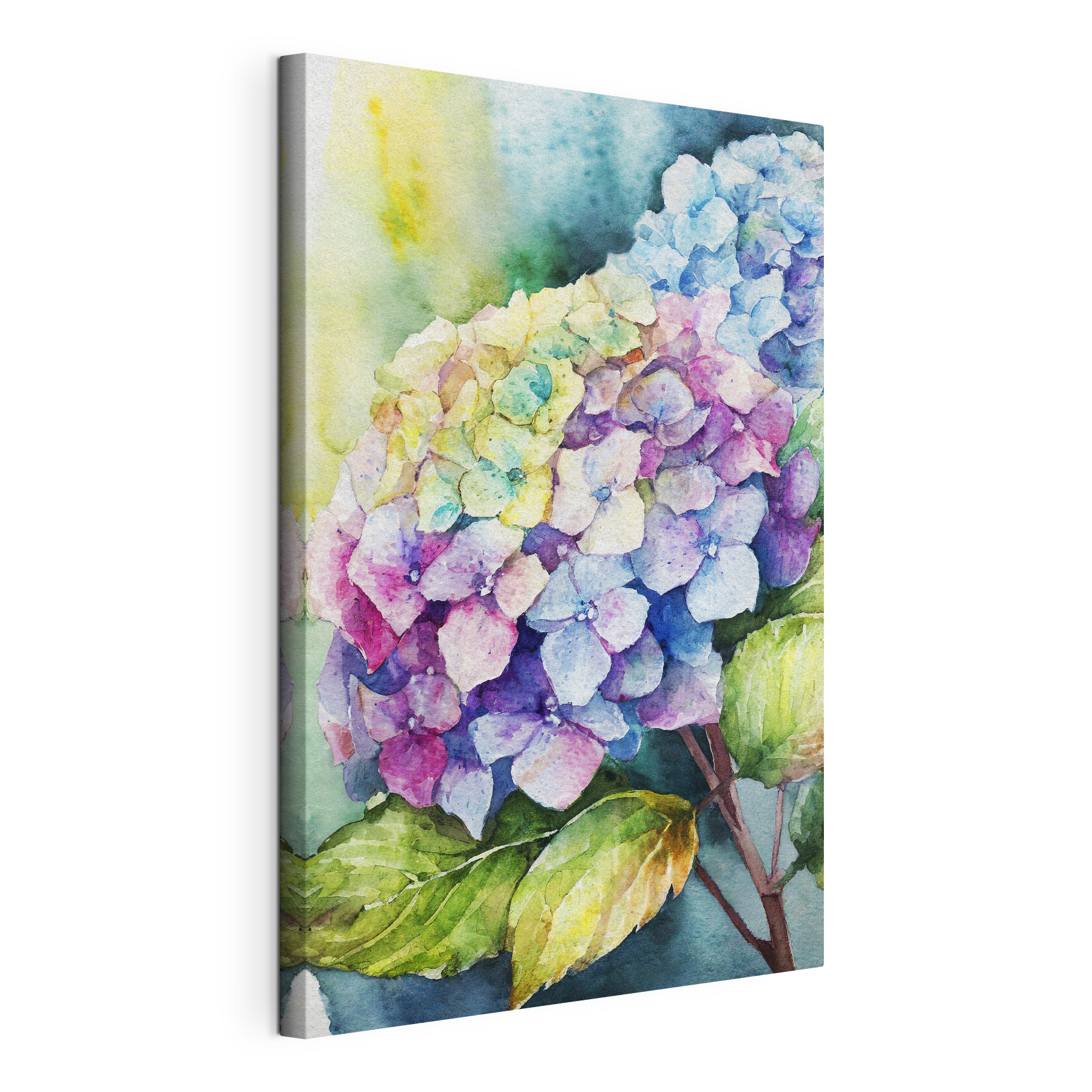 A watercolor of a flower A watercolor of a flower