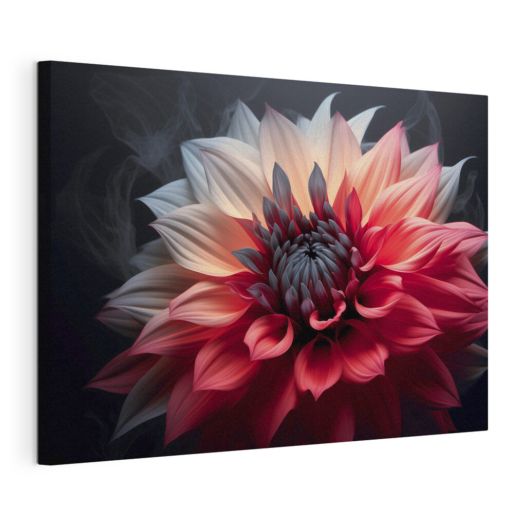 Vibrant petals in artistic display Vibrant petals in artistic display