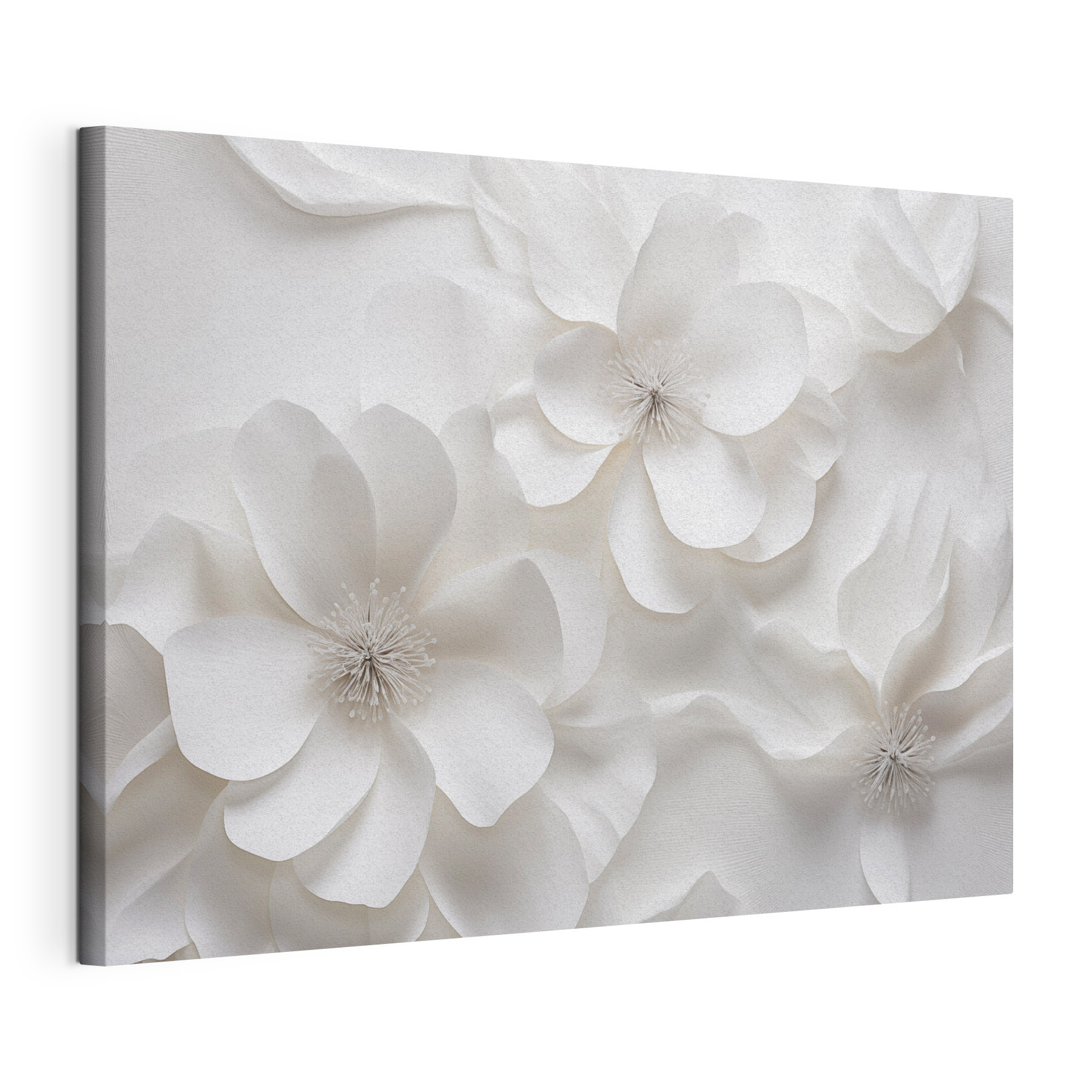 Group of white flowers
