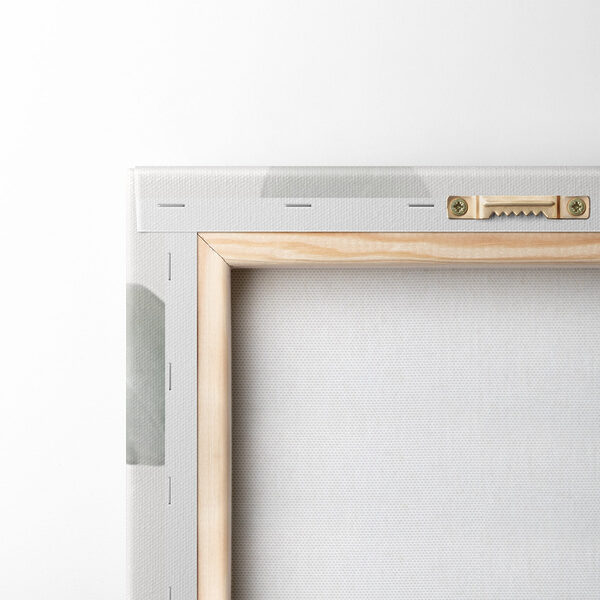 Delicate leaves on a minimal backdrop