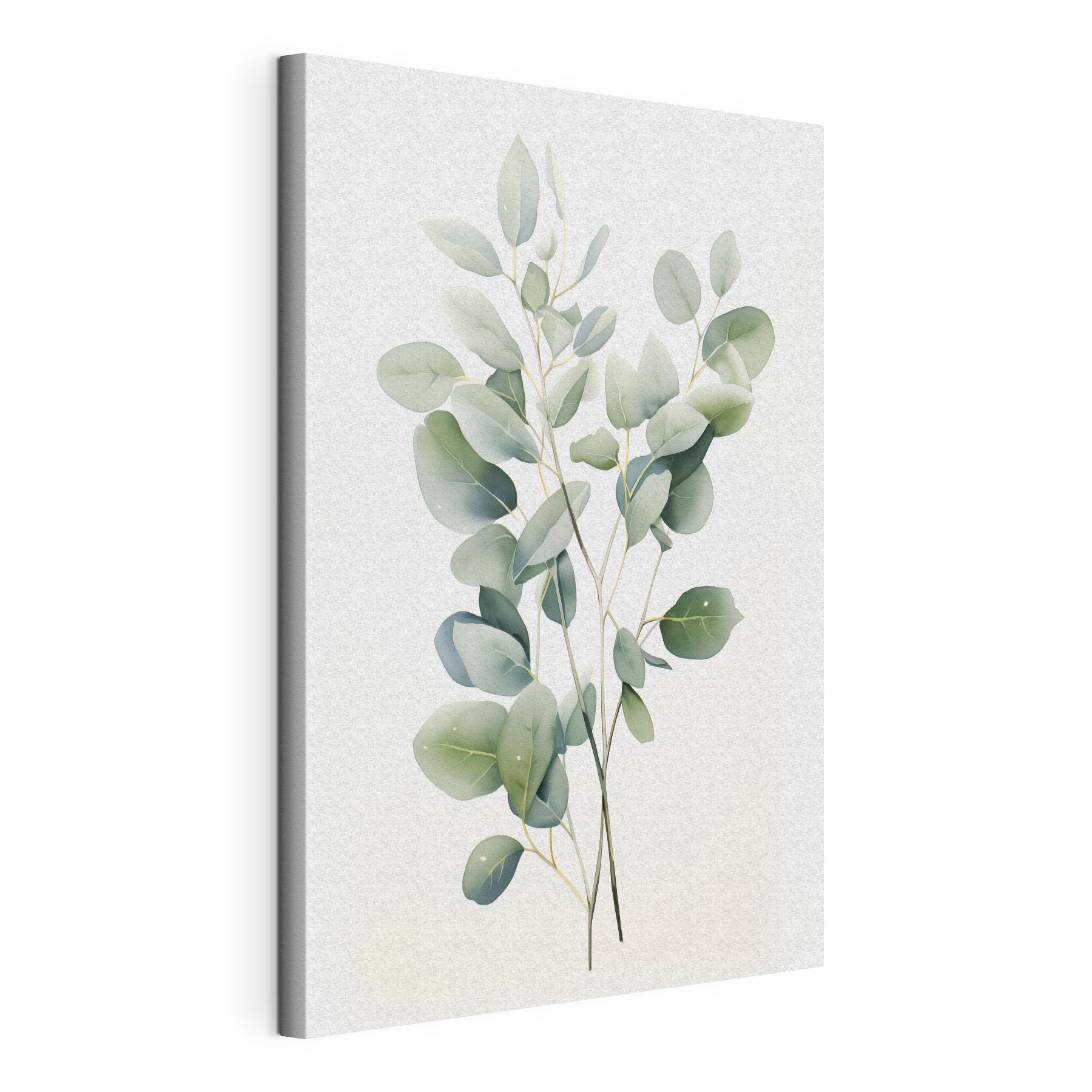 Watercolor of a plant