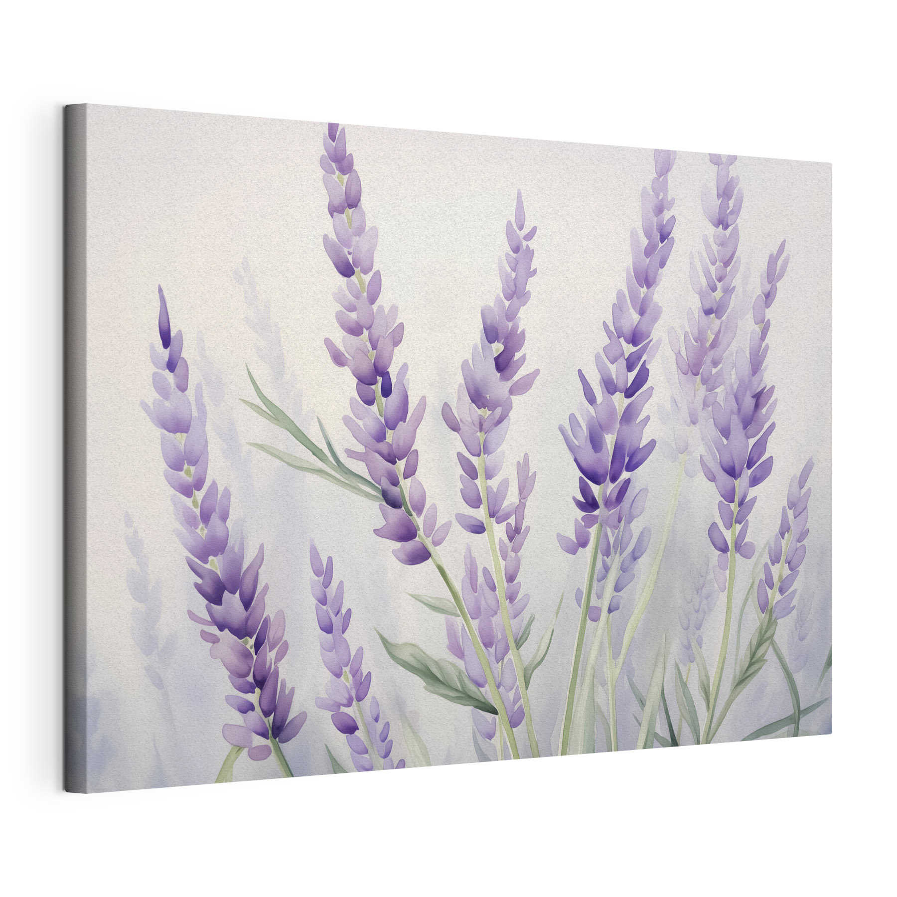 Delicate lavender blooms sway gently