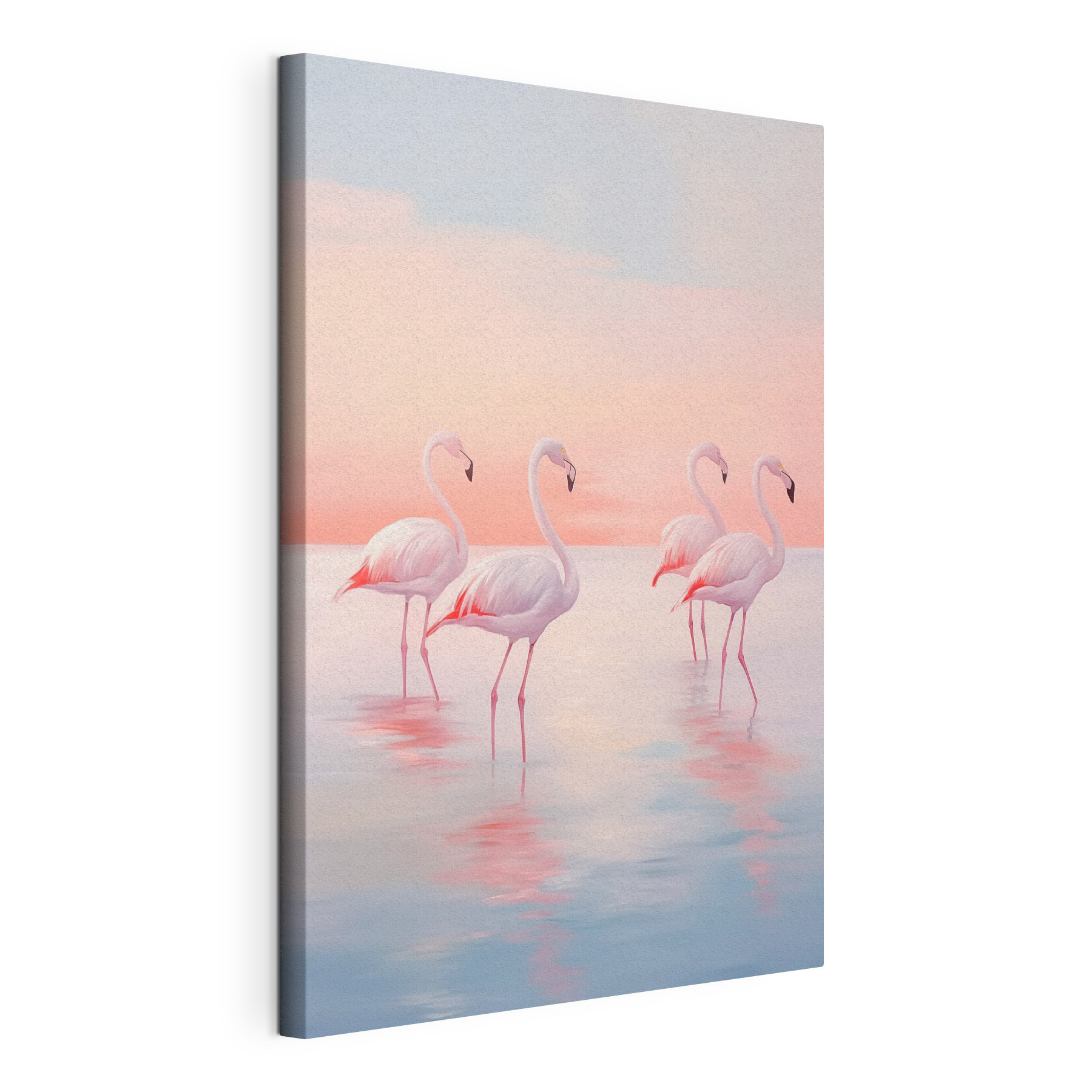 Group of flamingos standing in water