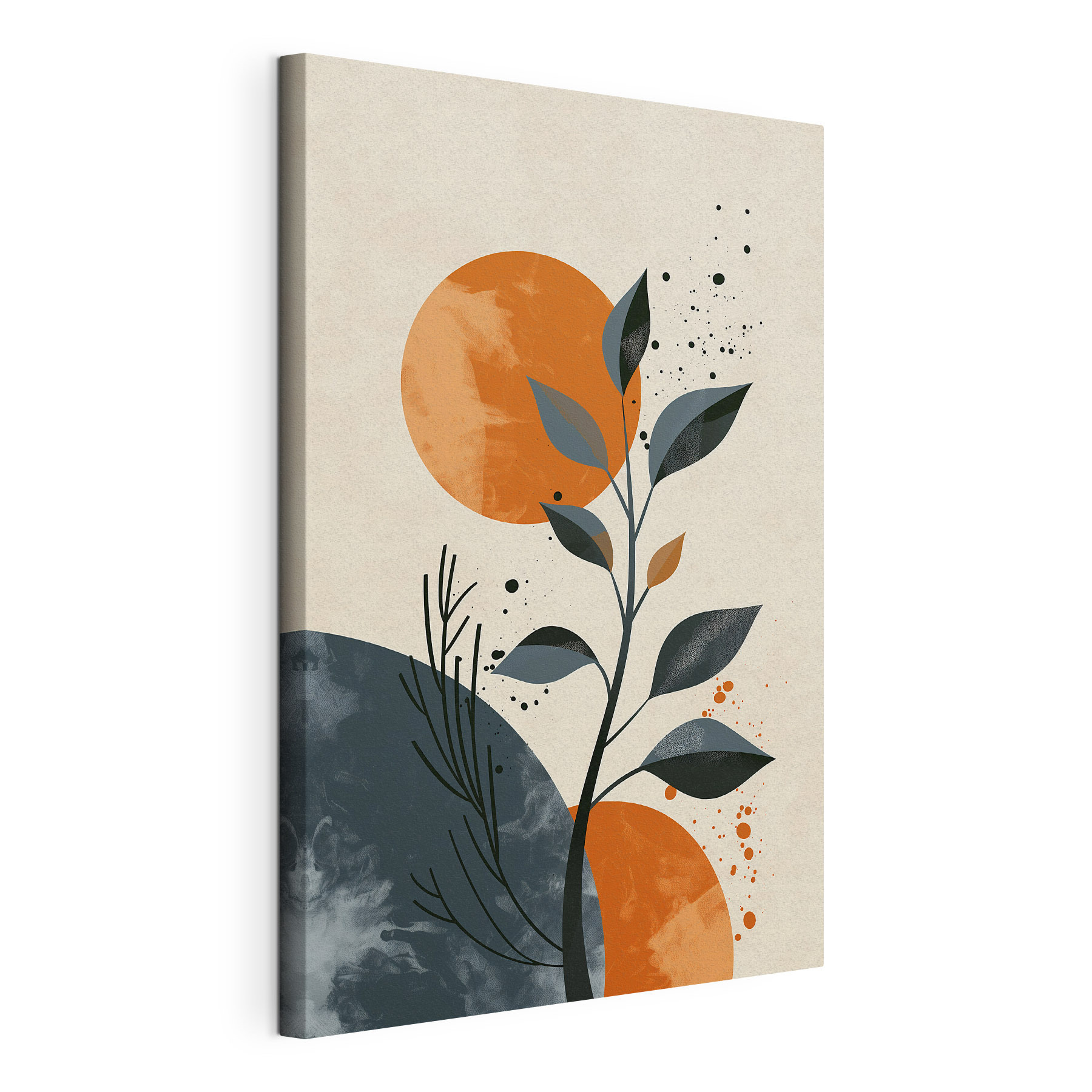 Plant with leaves and orange circles Plant with leaves and orange circles