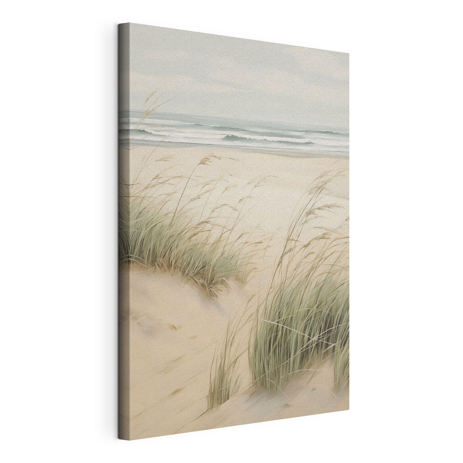 Beach with grass and sand Beach with grass and sand