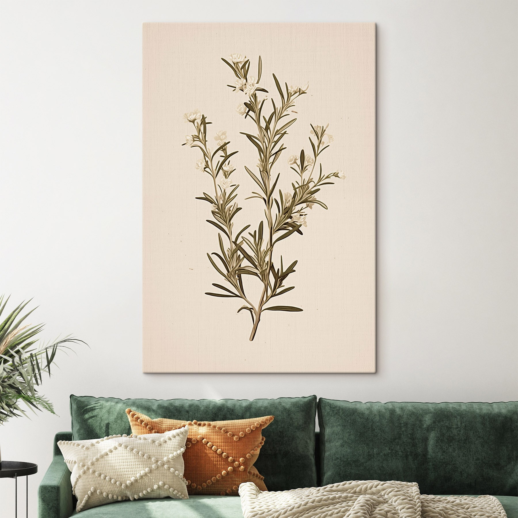 Plant with white flowers