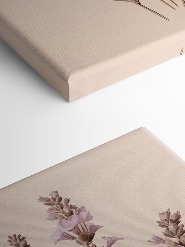 - Delicate blooms against a soft backdrop