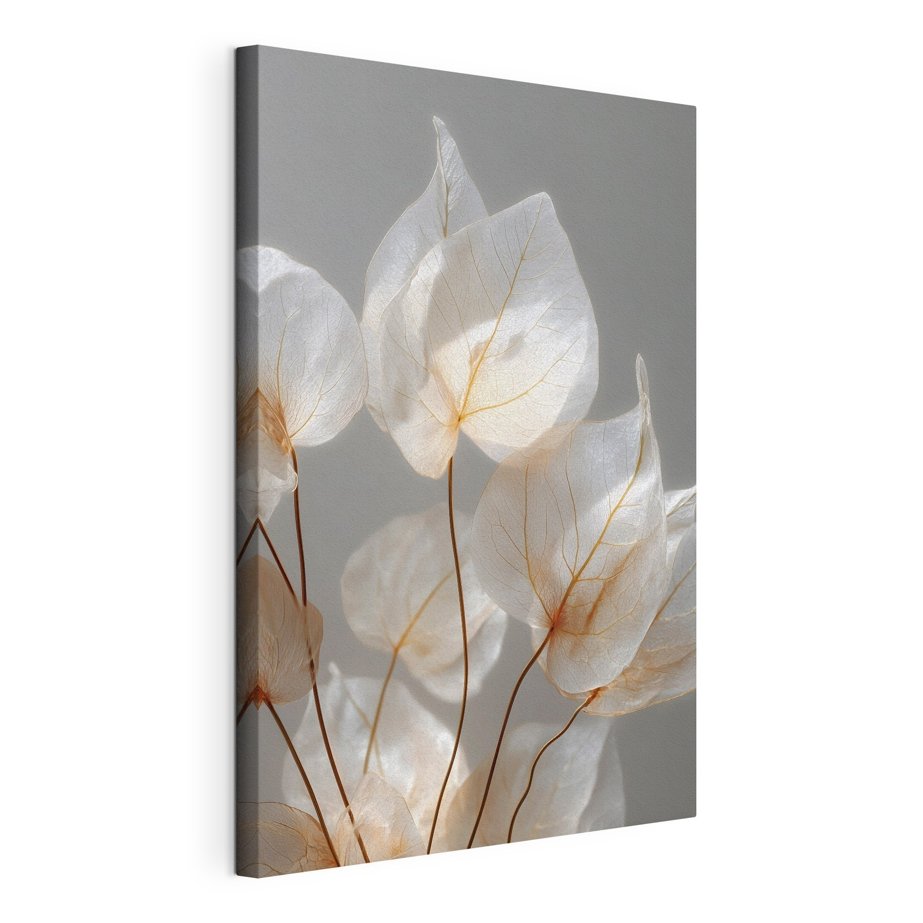 Delicate leaves in soft light Delicate leaves in soft light