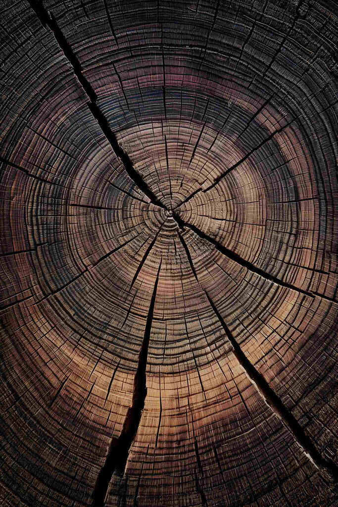Natural patterns in aged wood