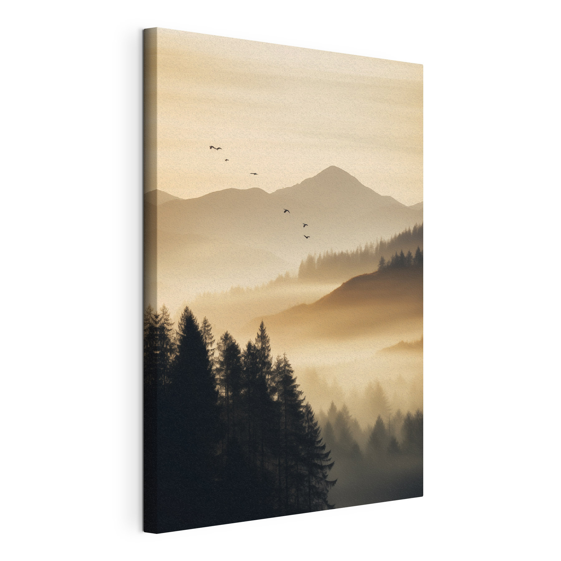 Birds flying over a valley with mountains and trees Birds flying over a valley with mountains and trees