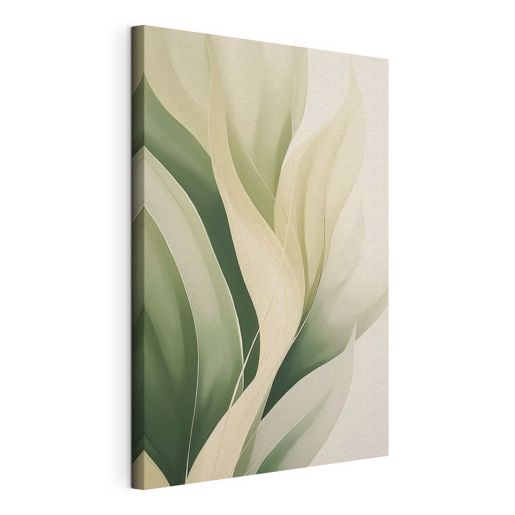 Gentle waves of green and cream