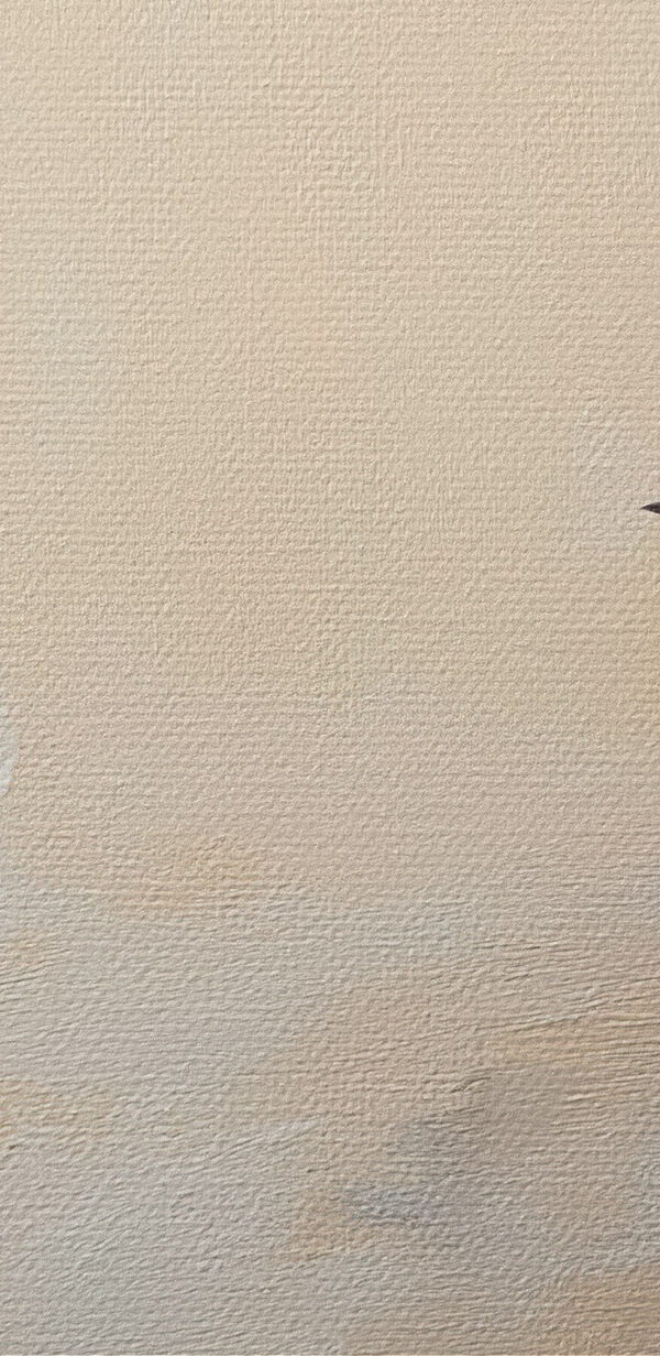 Bird standing on a snowy surface