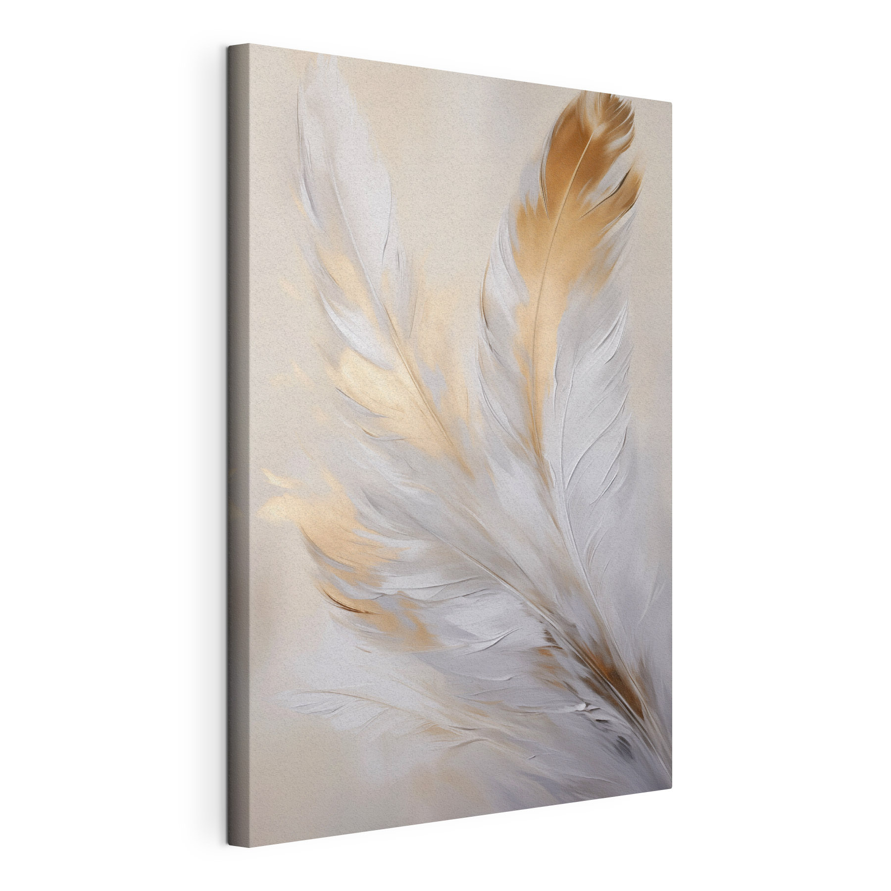 Soft feathers against a muted background