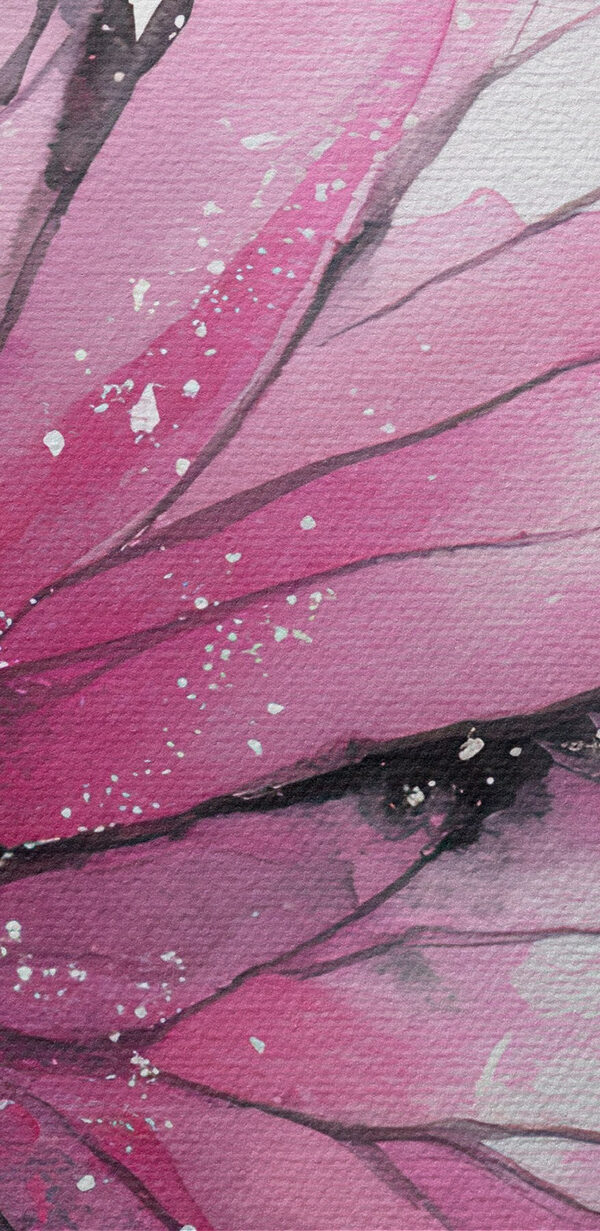 Pink butterfly with black wings Pink butterfly with black wings