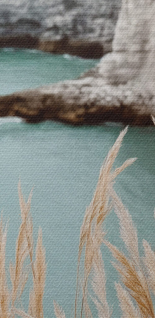 Tall grass next to a body of water Tall grass next to a body of water
