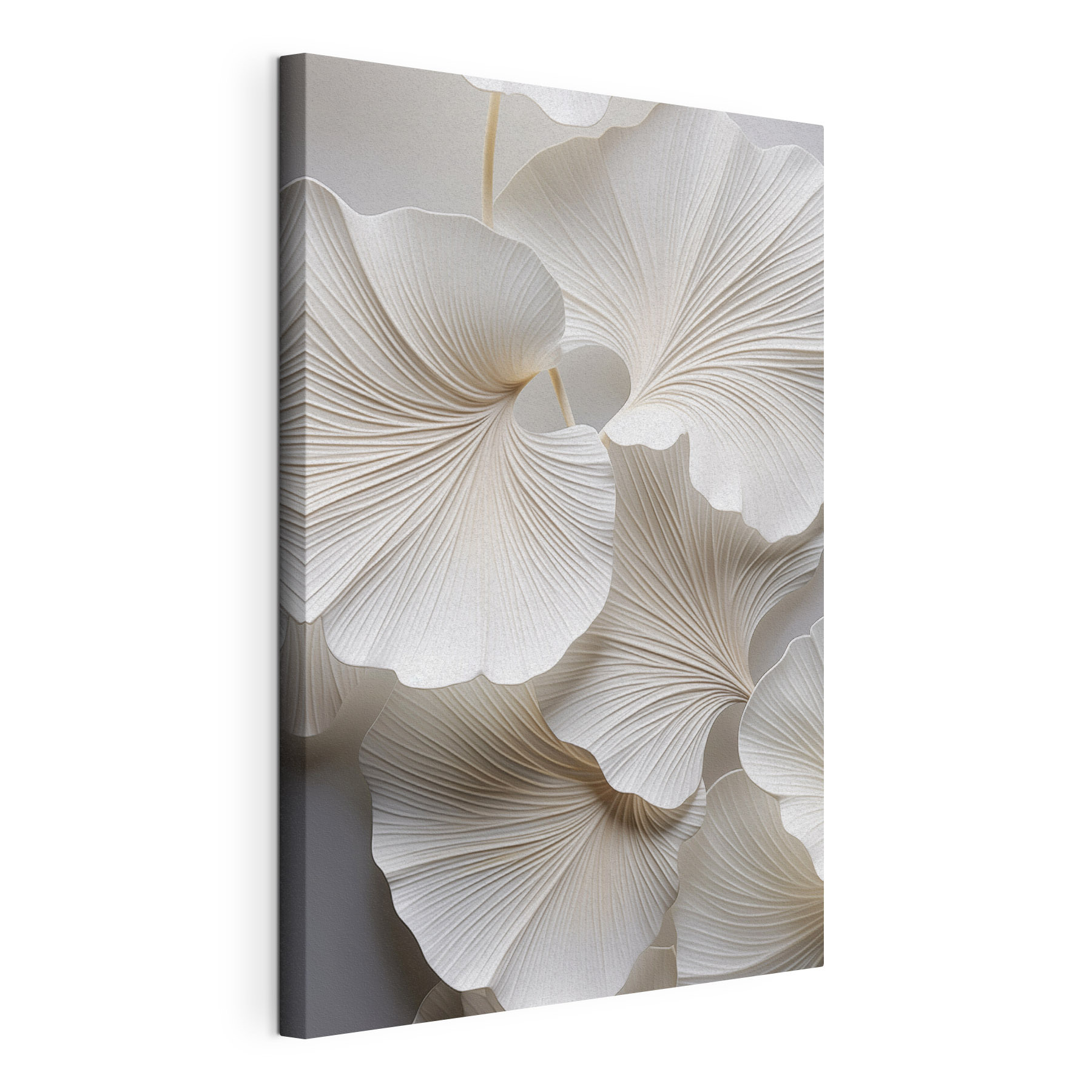 Group of white leaves