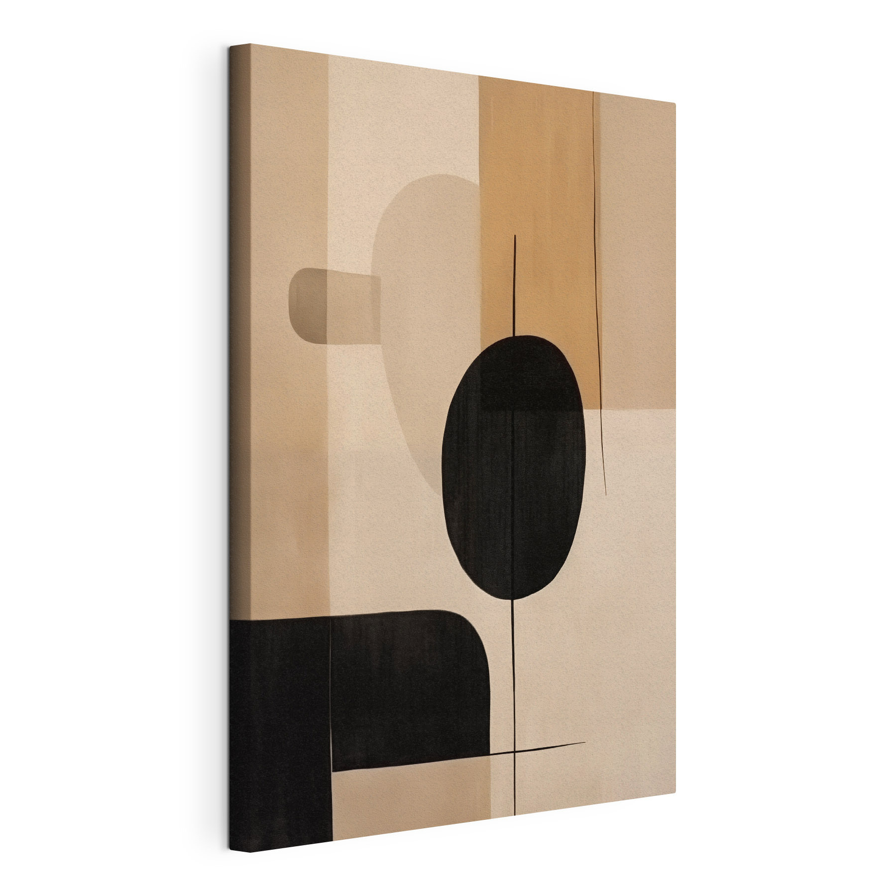 Painting of a black and white circle and oval shapes Painting of a black and white circle and oval shapes