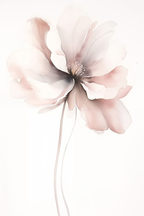 Delicate bloom in soft hues