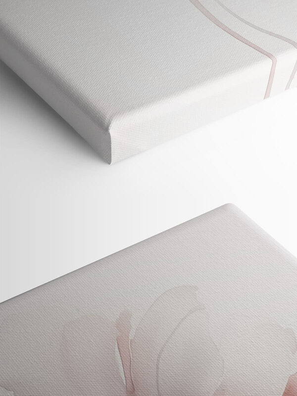 Delicate bloom in soft hues