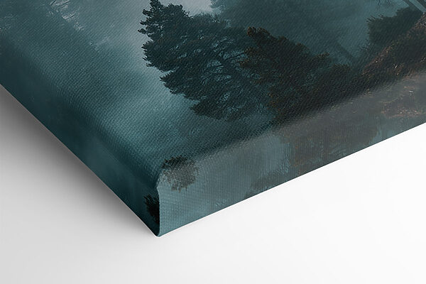 Foggy forest with trees