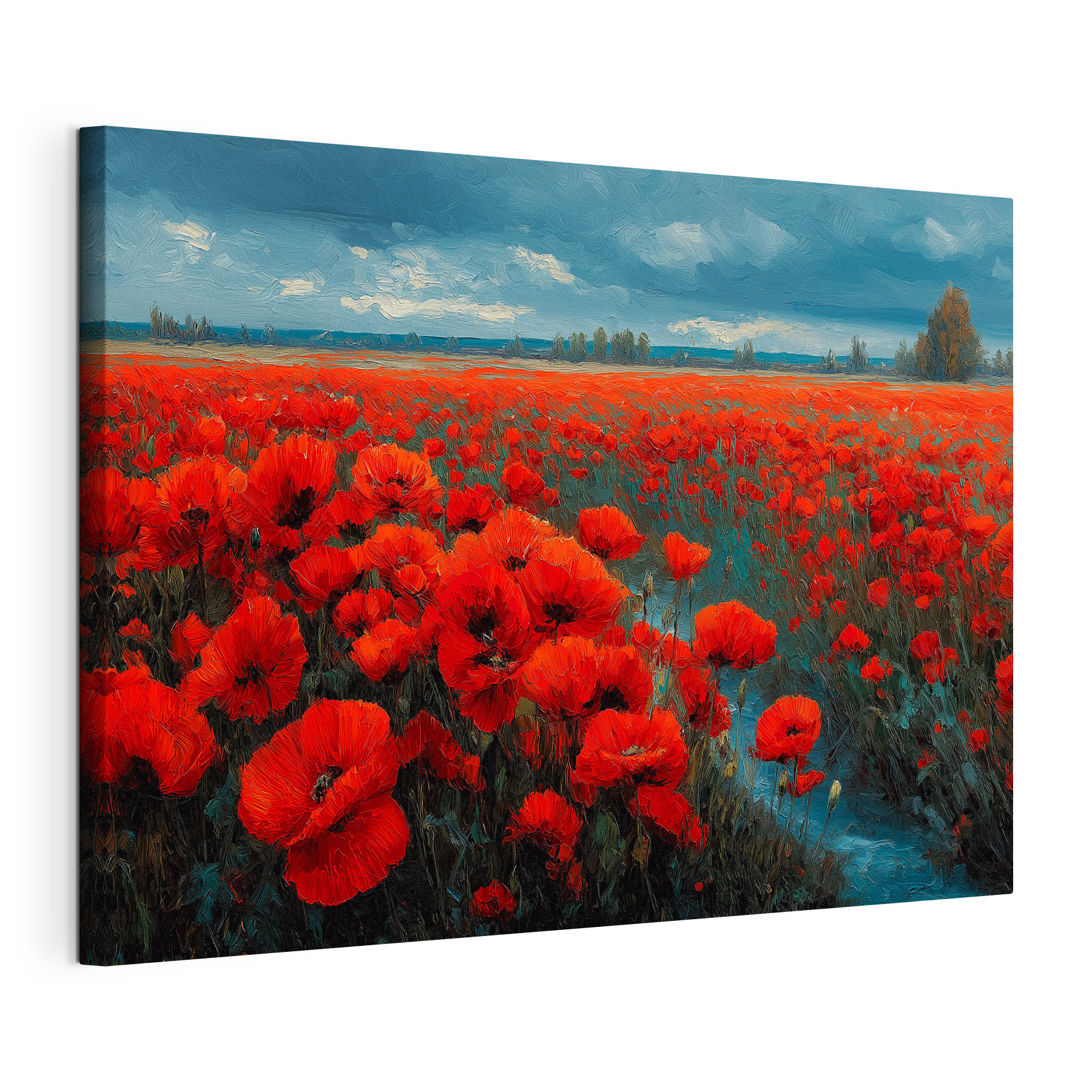 Field of red flowers