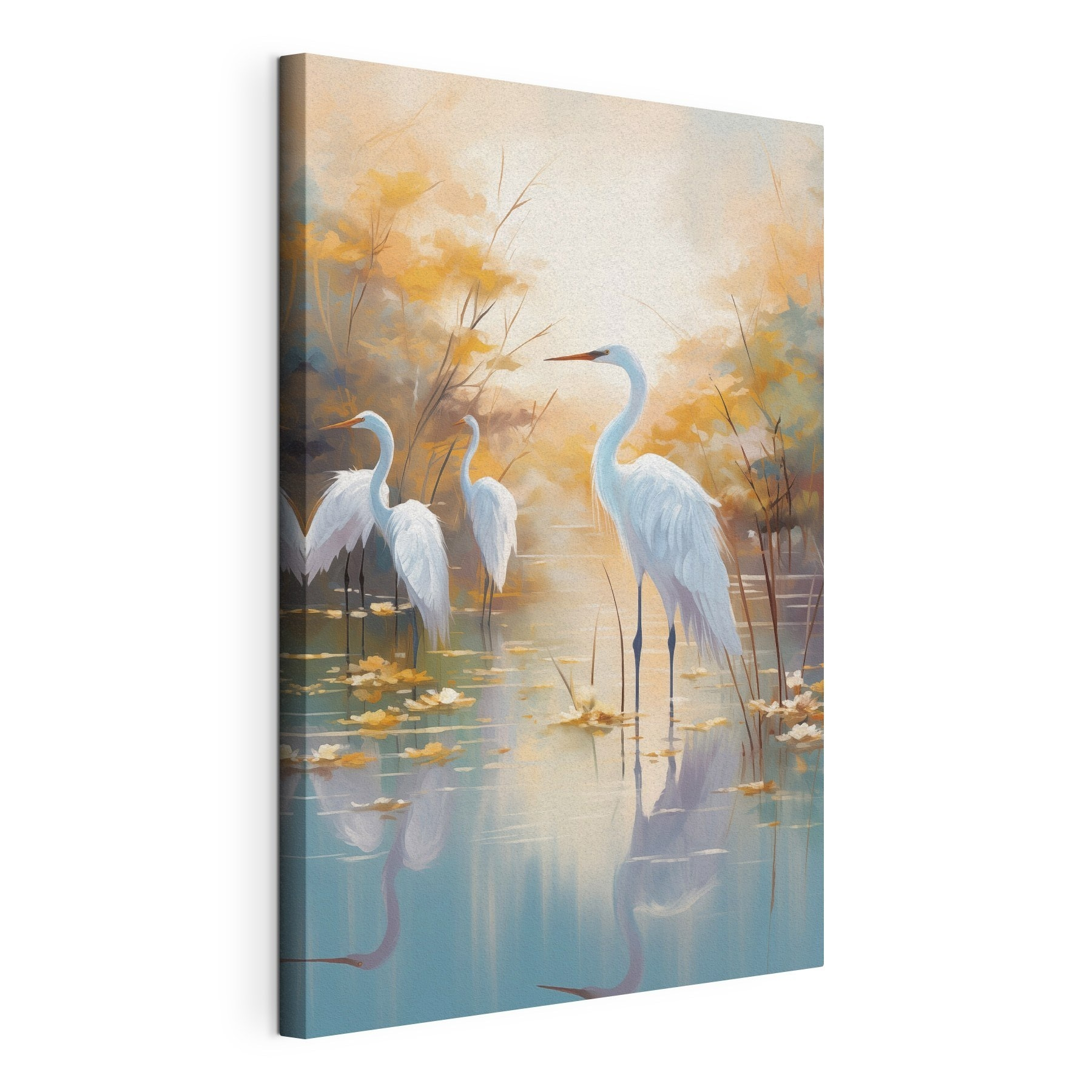 Group of white birds in a pond