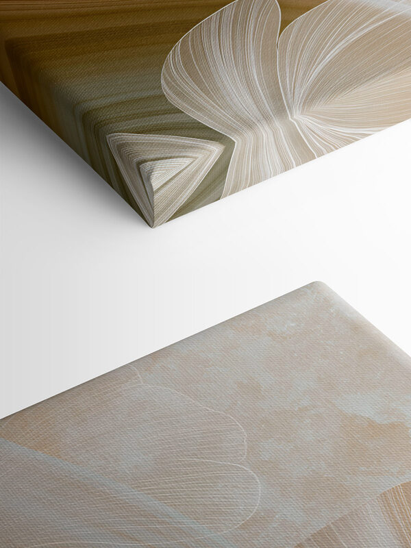 Soft curves and gentle lines collide Soft curves and gentle lines collide