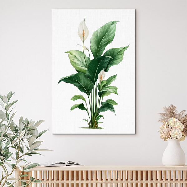 Plant with white flowers and green leaves
