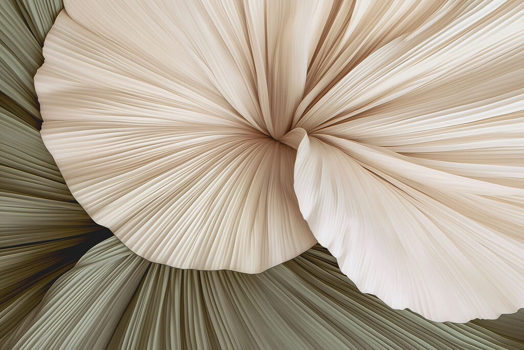 - Elegant folds in soft hues
