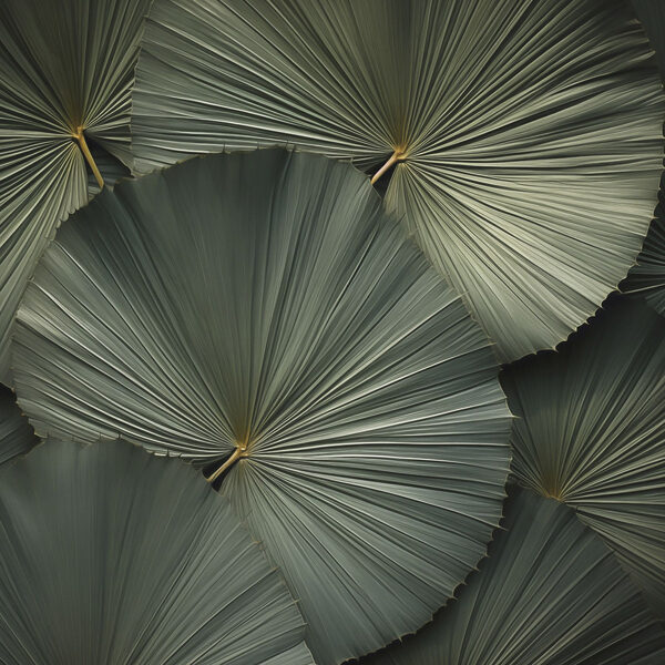 Group of large green leaves