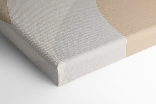 Soft curves in neutral tones