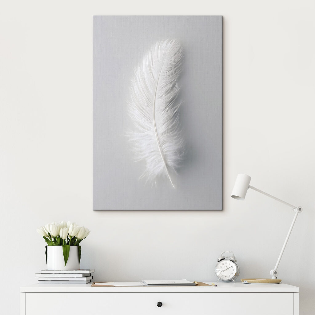 White feather on a white background