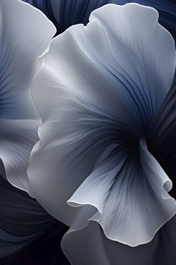 Soft curves in gentle hues