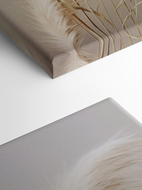 Soft, airy grasses in gentle hues Soft, airy grasses in gentle hues
