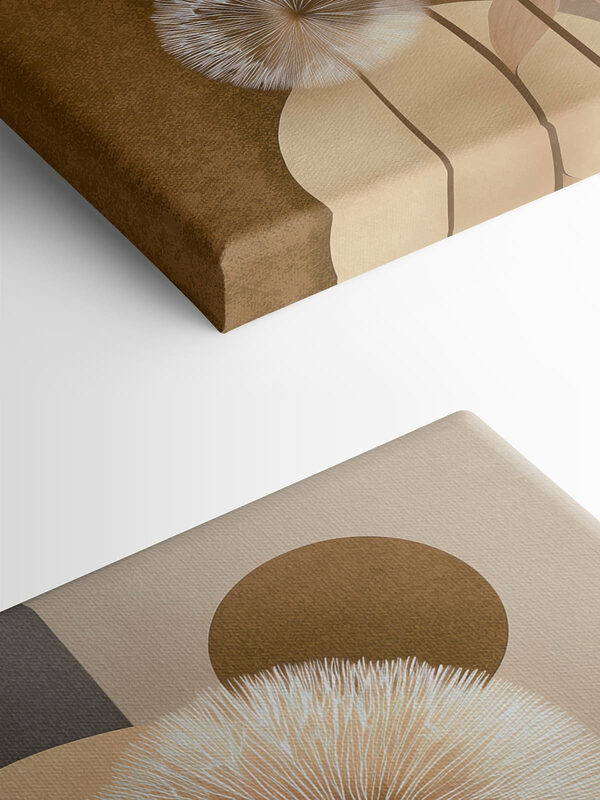 Elegant blooms against soft backgrounds