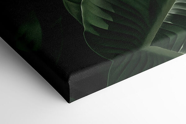 Lush green leaves in gentle light