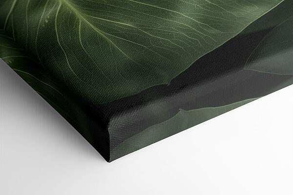 Lush green leaves in natural light