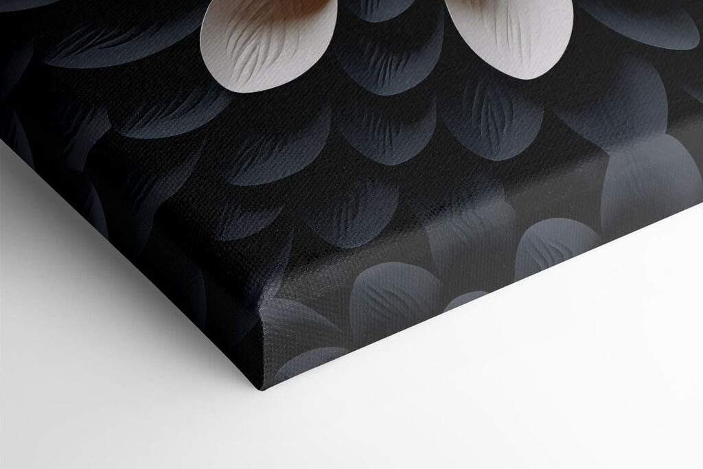 Elegant design in contrasting colors