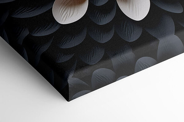 Elegant design in contrasting colors